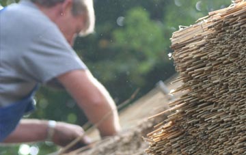 professional Portvasgo thatchers